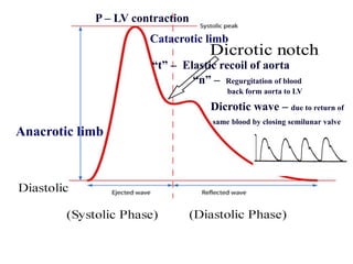 Anacrotic limb
Catacrotic limb
Dicrotic wave – due to return of
same blood by closing semilunar valve
P – LV contraction
“t” – Elastic recoil of aorta
“n” – Regurgitation of blood
back form aorta to LV
 