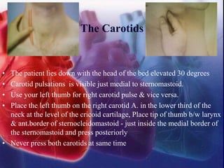 The Carotids
• The patient lies down with the head of the bed elevated 30 degrees
• Carotid pulsations is visible just medial to sternomastoid.
• Use your left thumb for right carotid pulse & vice versa.
• Place the left thumb on the right carotid A. in the lower third of the
neck at the level of the cricoid cartilage, Place tip of thumb b/w larynx
& ant.border of sternocleidomastoid - just inside the medial border of
the sternomastoid and press posteriorly
• Never press both carotids at same time
 