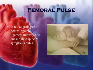 Femoral Pulse
• Is felt at groin just
below inguinal
ligament midway b/w
ant.sup.iliac.spine &
symphysis pubis.
 