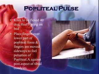 Popliteal Pulse
• Knee to be flexed 40
deg. Heel resting on
bed
• Place fingers over
lower part of
popliteal fossa &
fingers are moved
sideways to feel
pulsation of
Popliteal.A against
post.aspect of tibial
condyles.
 