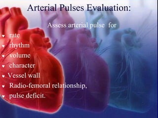 Arterial Pulses Evaluation:
Assess arterial pulse for
 rate
 rhythm
 volume
 character
 Vessel wall
 Radio-femoral relationship,
 pulse deficit.
 