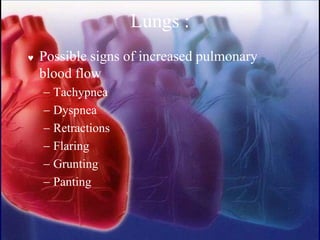 Lungs :
 Possible signs of increased pulmonary
blood flow
− Tachypnea
− Dyspnea
− Retractions
− Flaring
− Grunting
− Panting
 