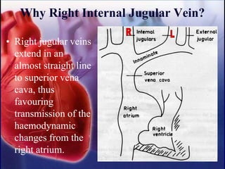 Why Right Internal Jugular Vein?
• Right jugular veins
extend in an
almost straight line
to superior vena
cava, thus
favouring
transmission of the
haemodynamic
changes from the
right atrium.
 