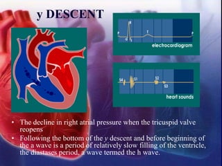 y DESCENT
• The decline in right atrial pressure when the tricuspid valve
reopens
• Following the bottom of the y descent and before beginning of
the a wave is a period of relatively slow filling of the ventricle,
the diastases period, a wave termed the h wave.
 