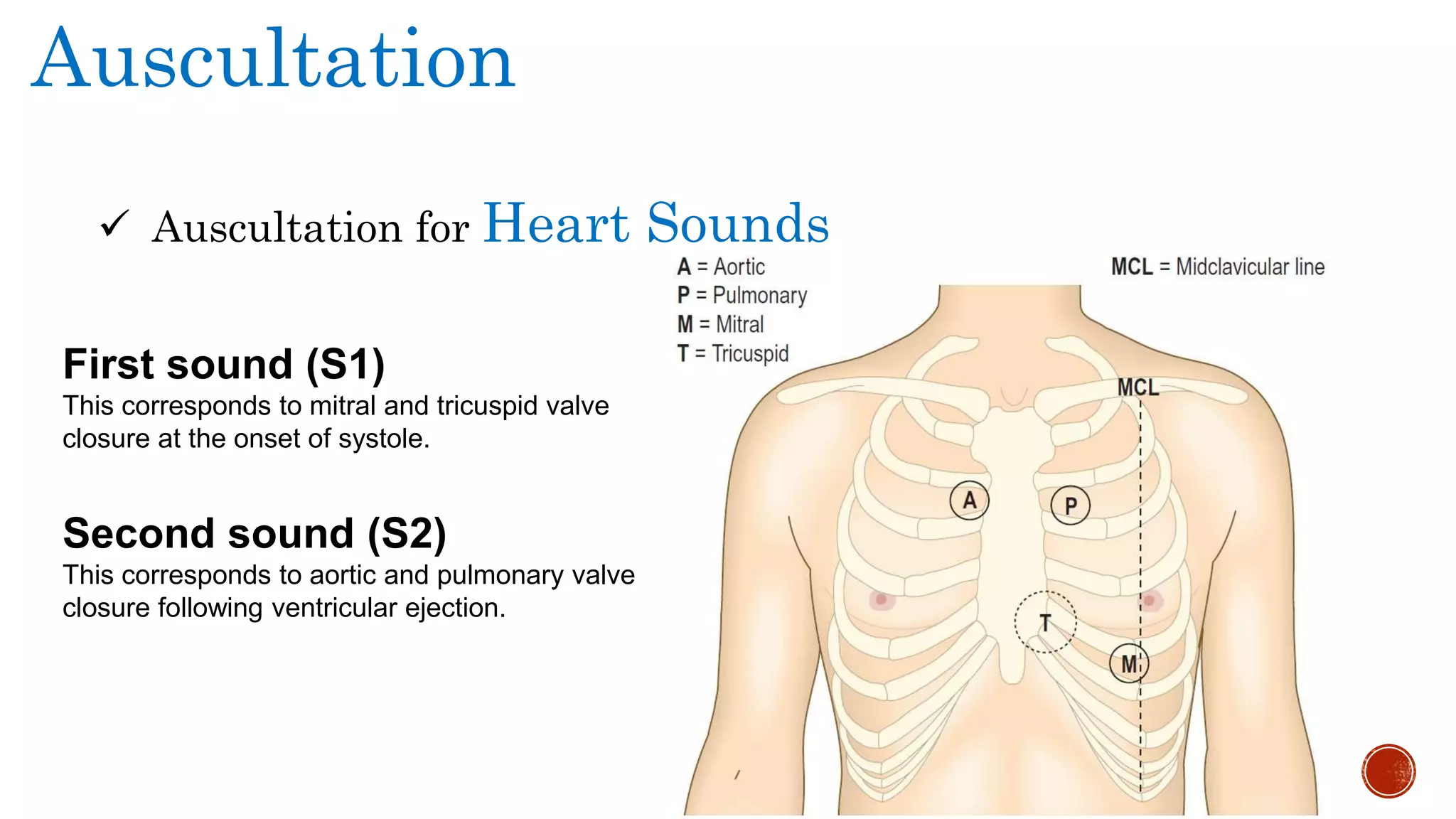 Clinical Examination of CVS | PPTX