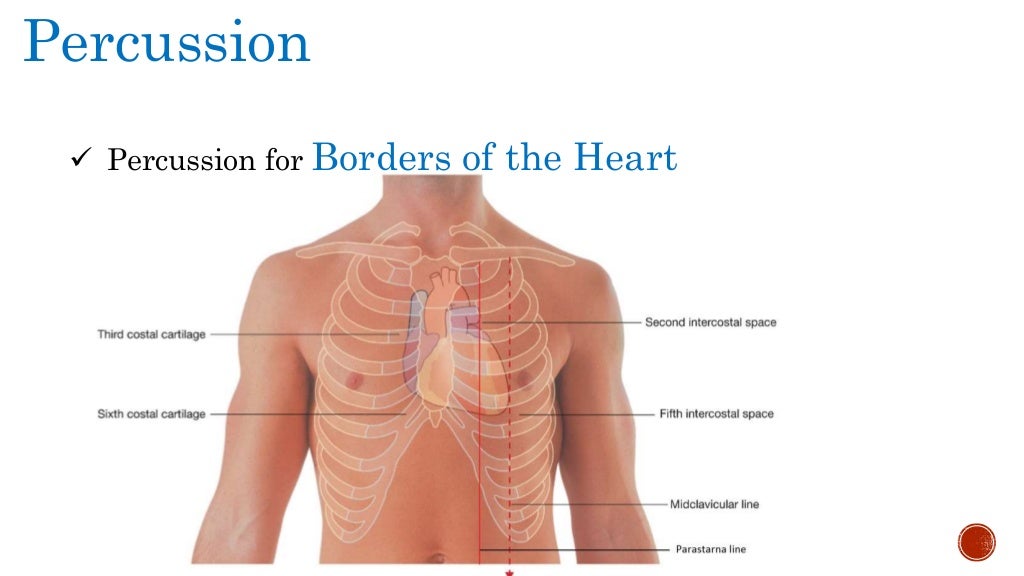 Clinical Examination of CVS