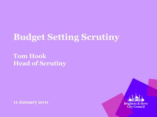 Budget Setting Scrutiny Tom Hook Head of Scrutiny 11 January 2011 