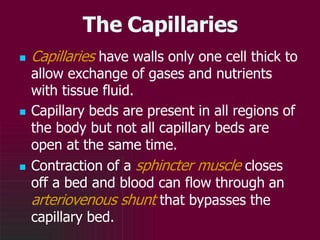 Cardiovascular System, Heart, Blood Vessel, ECG, Hypertension ...