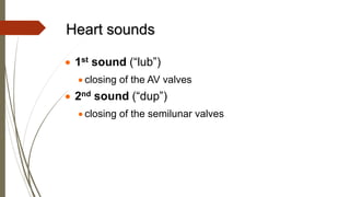 Heart sounds
 1st sound (“lub”)
 closing of the AV valves
 2nd sound (“dup”)
 closing of the semilunar valves
 