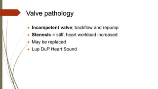 Valve pathology
 Incompetent valve; backflow and repump
 Stenosis = stiff; heart workload increased
 May be replaced
 Lup DuP Heart Sound
 
