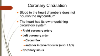 Coronary Circulation
 Blood in the heart chambers does not
nourish the myocardium
 The heart has its own nourishing
circulatory system
 Right coronary artery
 Left coronary arter
 Circumflex
 anterior interventricular (also: LAD)
 Coronary sinus
 