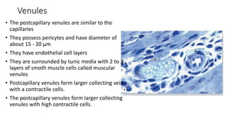 cardiovascularCCCfsdsdsdCVS Histology.pptx