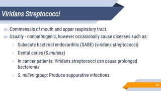 Viridans Streptococci
30
▰ Commensals of mouth and upper respiratory tract.
▰ Usually - nonpathogenic, however occasionally cause diseases such as:
 Subacute bacterial endocarditis (SABE) (viridans streptococci)
 Dental caries (S.mutans)
 In cancer patients: Viridans streptococci can cause prolonged
bacteremia
 S. milleri group: Produce suppurative infections.
 