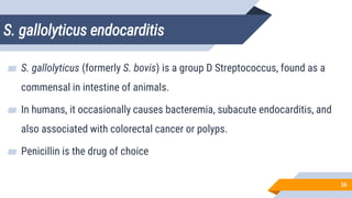 S. gallolyticus endocarditis
36
▰ S. gallolyticus (formerly S. bovis) is a group D Streptococcus, found as a
commensal in intestine of animals.
▰ In humans, it occasionally causes bacteremia, subacute endocarditis, and
also associated with colorectal cancer or polyps.
▰ Penicillin is the drug of choice
 