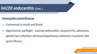 HACEK endocarditis (Cont..)
39
Haemophilus parainfluenzae
▰ Commensal in mouth and throat
▰ Opportunistic pathogen - causing endocarditis, conjunctivitis, abscesses,
genital tract infections and bronchopulmonary infections in patients with
cystic fibrosis
 