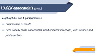 HACEK endocarditis (Cont..)
41
A.aphrophilus and A.paraphrophilus
▰ Commensals of mouth
▰ Occasionally cause endocarditis, head and neck infections, invasive bone and
joint infections
 