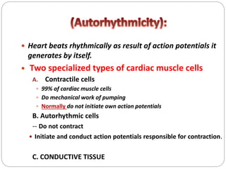  Heart beats rhythmically as result of action potentials it
generates by itself.
 Two specialized types of cardiac muscle cells
A. Contractile cells
 99% of cardiac muscle cells
 Do mechanical work of pumping
 Normally do not initiate own action potentials
B. Autorhythmic cells
-- Do not contract
 Initiate and conduct action potentials responsible for contraction.
C. CONDUCTIVE TISSUE
 