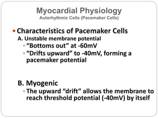 Myocardial Physiology
Autorhythmic Cells (Pacemaker Cells)
 Characteristics of Pacemaker Cells
A. Unstable membrane potential
“Bottoms out” at -60mV
“Drifts upward” to -40mV, forming a
pacemaker potential
B. Myogenic
The upward “drift” allows the membrane to
reach threshold potential (-40mV) by itself
 