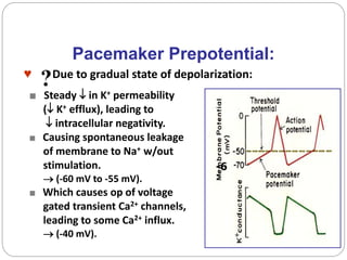 Pacemaker Prepotential:
♥ Due to gradual state of depolarization:
■ Steady  in K+ permeability
( K+ efflux), leading to
 intracellular negativity.
■ Causing spontaneous leakage
of membrane to Na+ w/out
stimulation.
 (-60 mV to -55 mV).
■ Which causes op of voltage
gated transient Ca2+ channels,
leading to some Ca2+ influx.
 (-40 mV).
?
-6
 