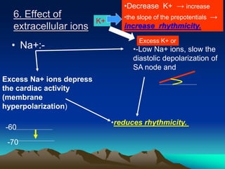 6. Effect of
extracellular ions
• Na+:-
Excess Na+ ions depress
the cardiac activity
(membrane
hyperpolarization)
•-Low Na+ ions, slow the
diastolic depolarization of
SA node and
•reduces rhythmicity.
-60
-70
Excess K+ or
•Decrease K+ → increase
•the slope of the prepotentials →
increase rhythmicity.
K+
 