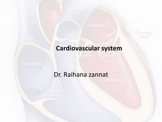 Cardiovascular system
Dr. Raihana zannat
 