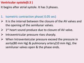Ventricular systole(0.3 )
It begins after atrial systole. It has 3 phases.
1. Isometric contraction phase( 0.05 sec)
➢ It is the interval between the closure of the AV valves and
the opening of the semilunar valves.
➢ 1st heart sound produce due to closure of AV valve.
➢ Intraventricular pressure rises sharply.
➢ When Intraventeicular pressure exceed the pressure in
aorta(80 mm Hg) & pulmonary artery(10 mm Hg), the
semilunar valves open & the phase ends.
 