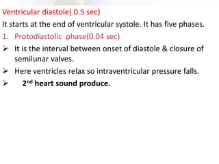 Ventricular diastole( 0.5 sec)
It starts at the end of ventricular systole. It has five phases.
1. Protodiastolic phase(0.04 sec)
➢ It is the interval between onset of diastole & closure of
semilunar valves.
➢ Here ventricles relax so intraventricular pressure falls.
➢ 2nd heart sound produce.
 