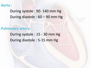 Aorta :
During systole : 90- 140 mm Hg
During diastole : 60 – 90 mm Hg
Pulmonary artery:
During systole : 15 - 30 mm Hg
During diastole : 5-15 mm Hg
 