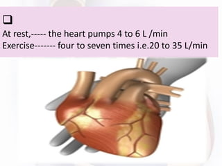 ❑
At rest,----- the heart pumps 4 to 6 L /min
Exercise------- four to seven times i.e.20 to 35 L/min
 