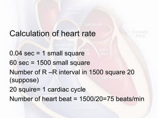 Calculation of heart rate
0.04 sec = 1 small square
60 sec = 1500 small square
Number of R –R interval in 1500 square 20
(suppose)
20 squire= 1 cardiac cycle
Number of heart beat = 1500/20=75 beats/min
 