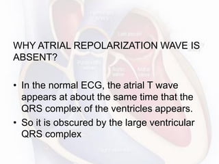 WHY ATRIAL REPOLARIZATION WAVE IS
ABSENT?
• In the normal ECG, the atrial T wave
appears at about the same time that the
QRS complex of the ventricles appears.
• So it is obscured by the large ventricular
QRS complex
 