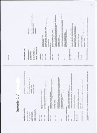 CVs, job interviews material | PDF