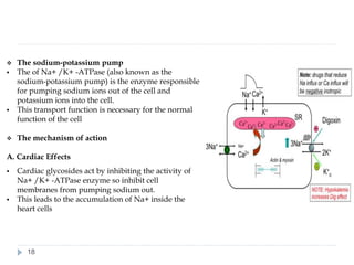 ❖ The sodium-potassium pump
▪ The of Na+ /K+ -ATPase (also known as the
sodium-potassium pump) is the enzyme responsible
for pumping sodium ions out of the cell and
potassium ions into the cell.
▪ This transport function is necessary for the normal
function of the cell
❖ The mechanism of action
A. Cardiac Effects
▪ Cardiac glycosides act by inhibiting the activity of
Na+ /K+ -ATPase enzyme so inhibit cell
membranes from pumping sodium out.
▪ This leads to the accumulation of Na+ inside the
heart cells
18
 