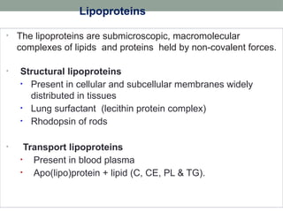 Comprehensive Overview of Lipoproteins and Their Metabolism in ...
