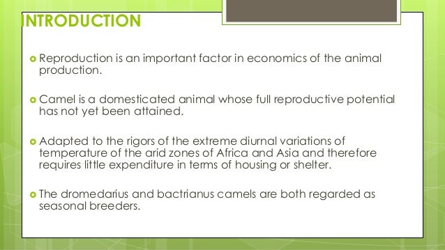 ANOTOMY AND PHYSIOLOGY OF REPRODUCTIVE SYSTEM OF SHE CAMEL