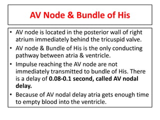 • AV node is continuous
with bundle of his
• Bundle of his gives off
left bundle branch at
the top of
interventricular
sep...