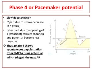 • RMP of pacemaker tissue is -55mV.
• Pacemaker tissues has an unstable resting membrane
potential because of the continuo...