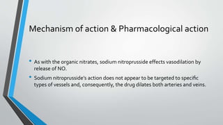 Mechanism of action & Pharmacological action
• As with the organic nitrates, sodium nitroprusside effects vasodilation by
release of NO.
• Sodium nitroprusside’s action does not appear to be targeted to speciﬁc
types of vessels and, consequently, the drug dilates both arteries and veins.
 