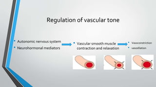 Regulation of vascular tone
• Autonomic nervous system
• Neurohormonal mediators
• Vascular smooth muscle
contraction and relaxation
• Vasoconstriction
• vasodilation
 