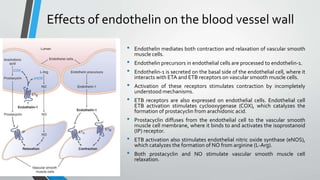 Effects of endothelin on the blood vessel wall
• Endothelin mediates both contraction and relaxation of vascular smooth
muscle cells.
• Endothelin precursors in endothelial cells are processed to endothelin-1.
• Endothelin-1 is secreted on the basal side of the endothelial cell, where it
interacts with ETA and ETB receptors on vascular smooth muscle cells.
• Activation of these receptors stimulates contraction by incompletely
understood mechanisms.
• ETB receptors are also expressed on endothelial cells. Endothelial cell
ETB activation stimulates cyclooxygenase (COX), which catalyzes the
formation of prostacyclin from arachidonic acid.
• Prostacyclin diffuses from the endothelial cell to the vascular smooth
muscle cell membrane, where it binds to and activates the isoprostanoid
(IP) receptor.
• ETB activation also stimulates endothelial nitric oxide synthase (eNOS),
which catalyzes the formation of NO from arginine (L-Arg).
• Both prostacyclin and NO stimulate vascular smooth muscle cell
relaxation.
 