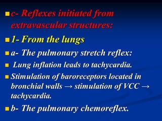 ◼c- Reflexes initiated from
extravascular structures:
◼1- From the lungs
◼ a- The pulmonary stretch reflex:
◼ Lung inflation leads to tachycardia.
◼ Stimulation of baroreceptors located in
bronchial walls → stimulation of VCC →
tachycardia.
◼ b- The pulmonary chemoreflex.
 