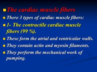 ◼The cardiac muscle fibers
◼ There 3 types of cardiac muscle fibers:
◼ 1- The contractile cardiac muscle
fibers (99 %).
◼ These form the atrial and ventricular walls.
◼ They contain actin and myosin filaments.
◼ They perform the mechanical work of
pumping.
 