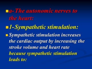 ◼a-The autonomic nerves to
the heart:
◼1-Sympathetic stimulation:
◼ Sympathetic stimulation increases
the cardiac output by increasing the
stroke volume and heart rate
because sympathetic stimulation
leads to:
 