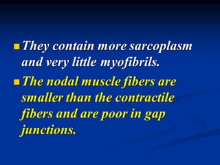 ◼They contain more sarcoplasm
and very little myofibrils.
◼The nodal muscle fibers are
smaller than the contractile
fibers and are poor in gap
junctions.
 