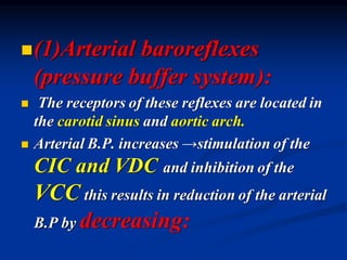 ◼(1)Arterial baroreflexes
(pressure buffer system):
◼ The receptors of these reflexes are located in
the carotid sinus and aortic arch.
◼ Arterial B.P. increases →stimulation of the
CIC and VDC and inhibition of the
VCC this results in reduction of the arterial
B.P by decreasing:
 