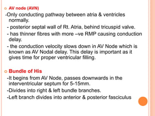cardio vascular physiology anesthesiasia | PPTX