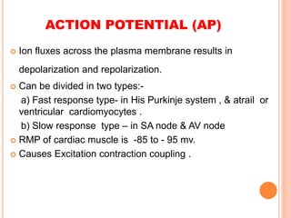 Cardiac Rmp cardio vascular physiology anesthesiasia | PPTX