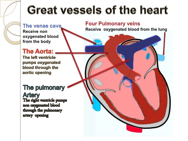 ICD10-CM , ICD10-PCS cardiovascular presentation ICD10-CM , ICD10-PCS cardiovascular presentation