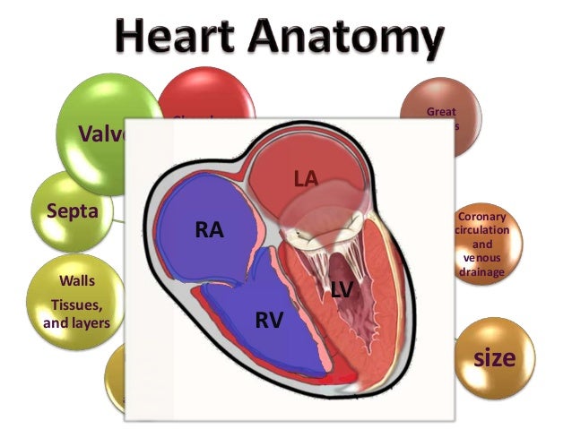 ICD10-CM , ICD10-PCS cardiovascular presentation ICD10-CM , ICD10-PCS cardiovascular presentation