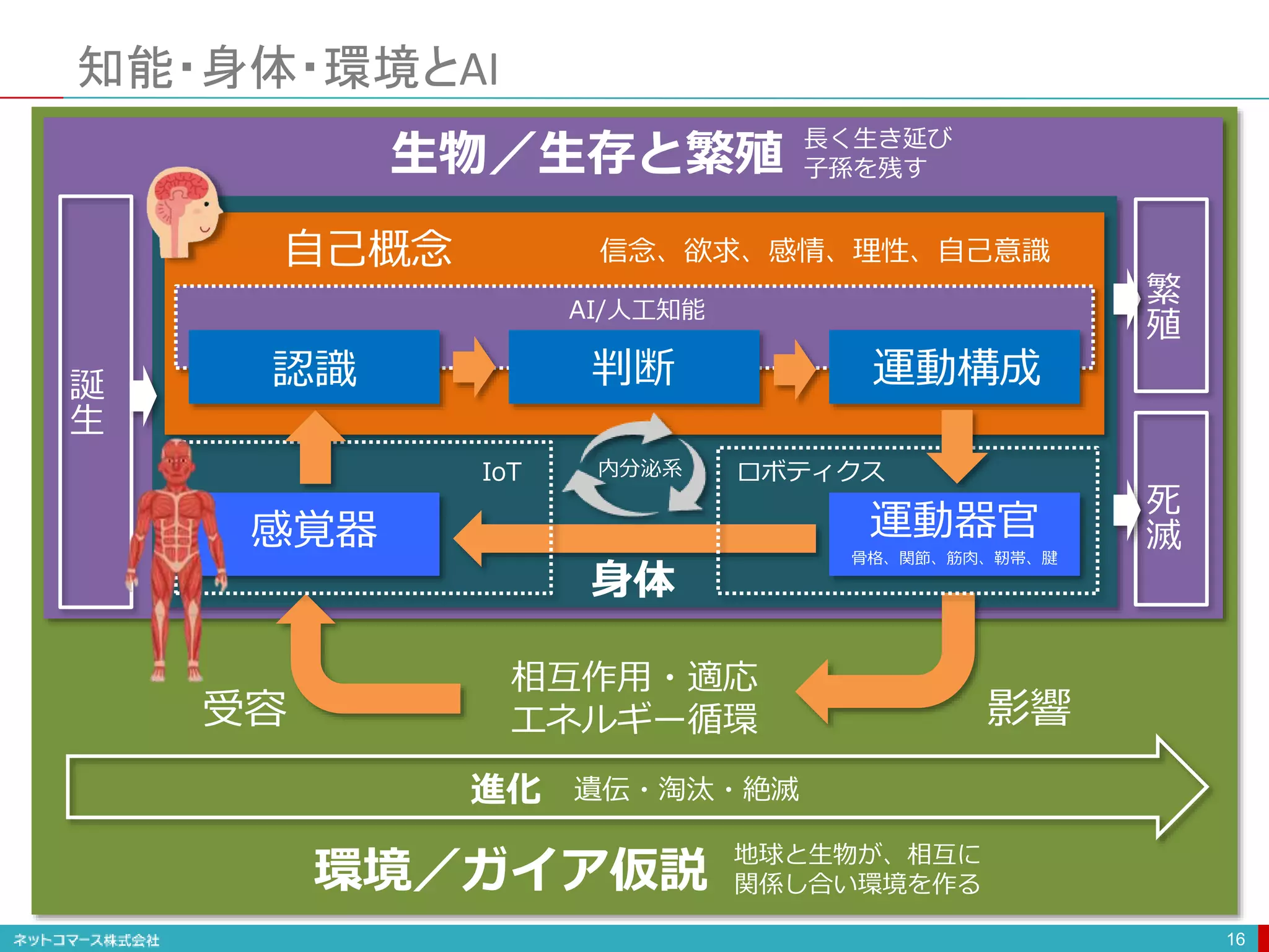 知能・身体・環境とAI
16
生物／生存と繁殖
自己概念 信念、欲求、感情、理性、自己意識
感覚器 運動器官
骨格、関節、筋肉、靭帯、腱
環境／ガイア仮説
身体
影響
受容
相互作用・適応
エネルギー循環
誕
生
死
滅
進化 遺伝・淘汰・絶滅
IoT ロボティクス
地球と生物が、相互に
関係し合い環境を作る
認識 判断 運動構成
AI/人工知能
繁
殖
長く生き延び
子孫を残す
内分泌系
 